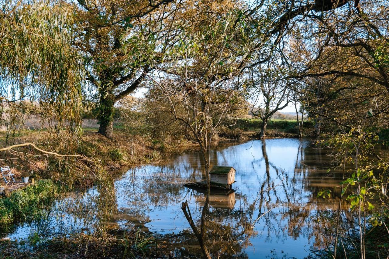 Charming Picturesque Cottage - Nr Tenterden & Rye, Pets Welcomed Rolvenden Exterior foto